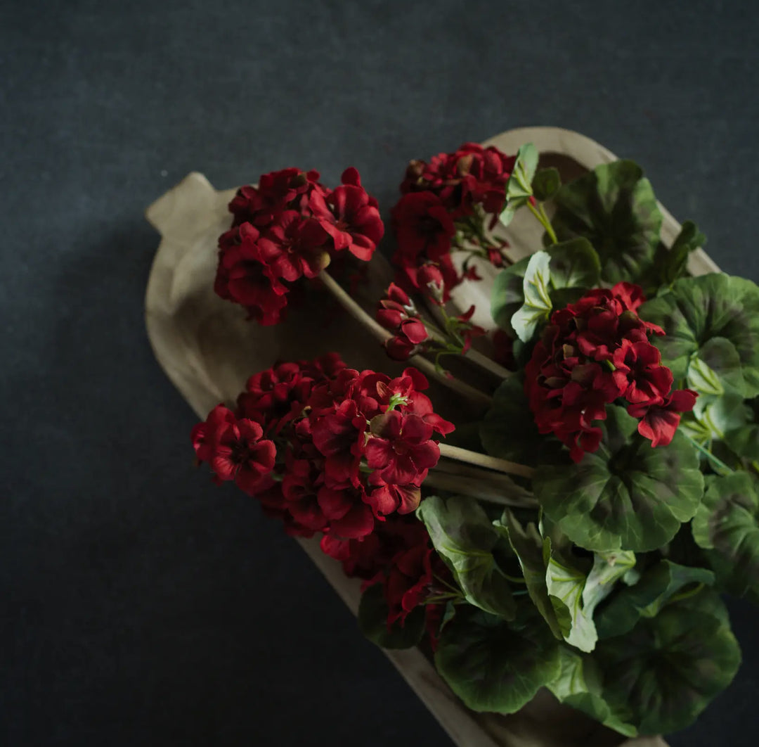 Classic Red Geranium Bush – 19.5”