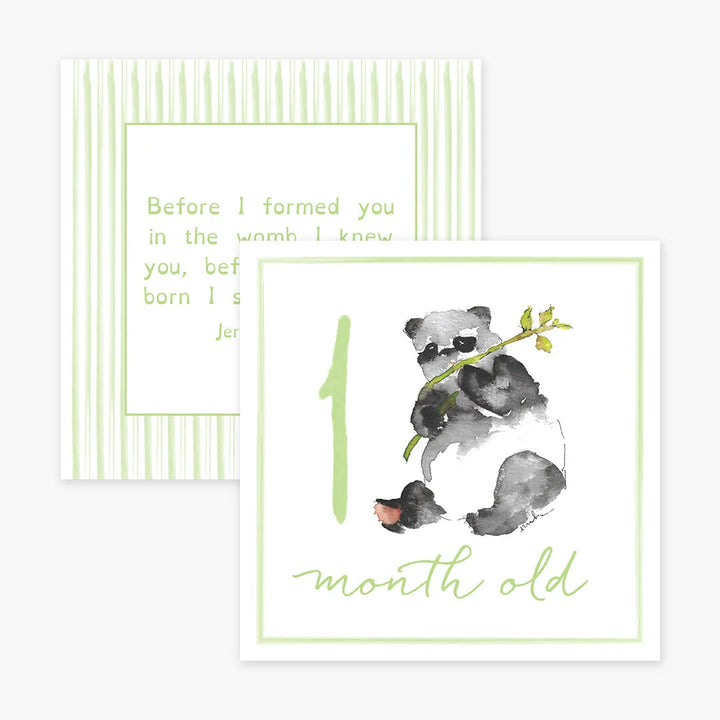 Little Moments Baby Milestone Cards