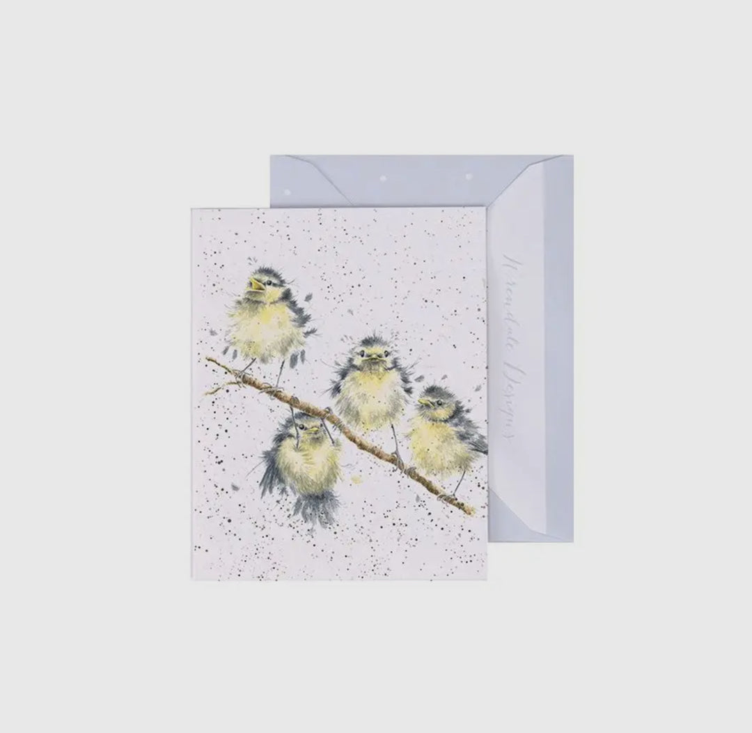 Mini Gift Enclosure Cards