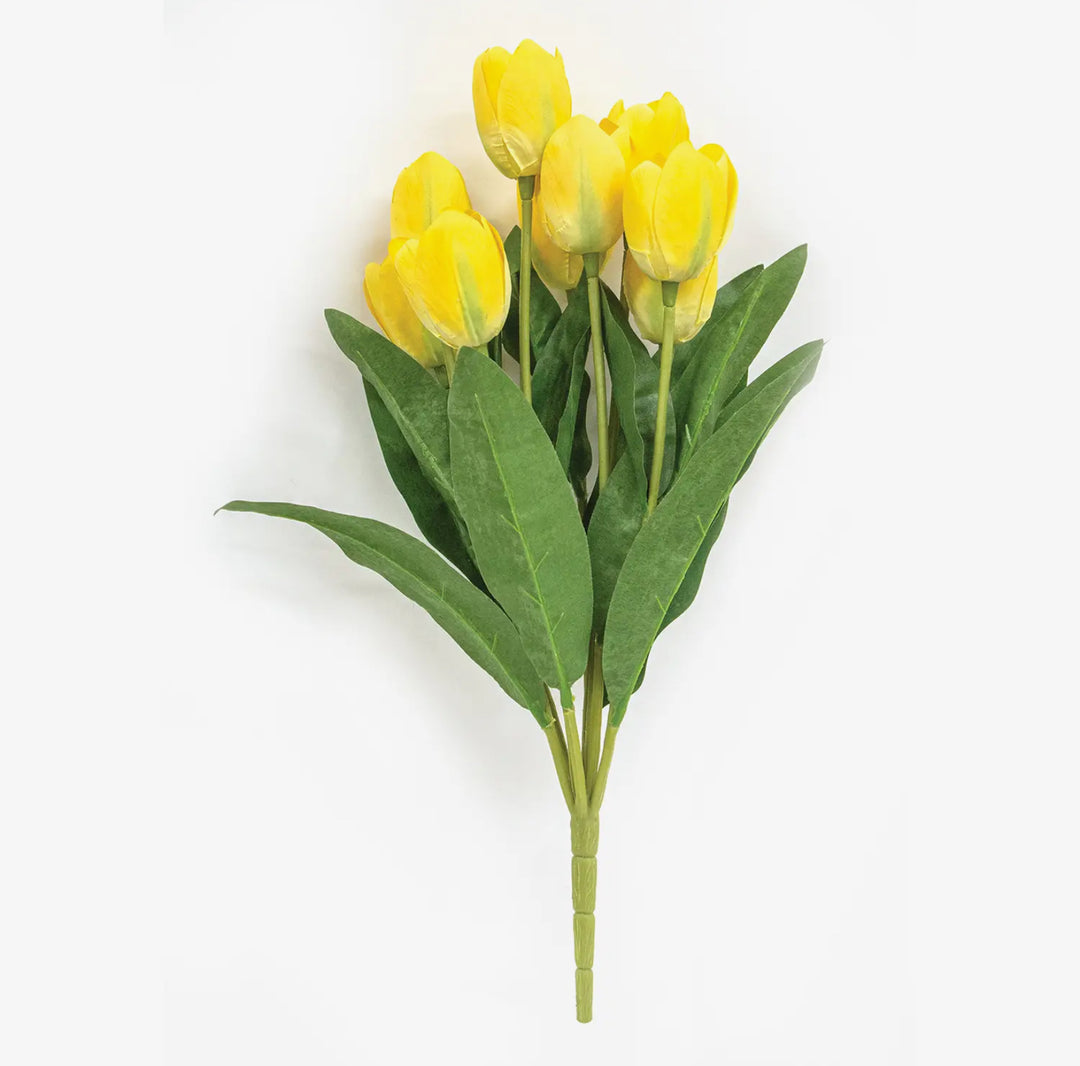 Golden Bloom Tulip Bunch