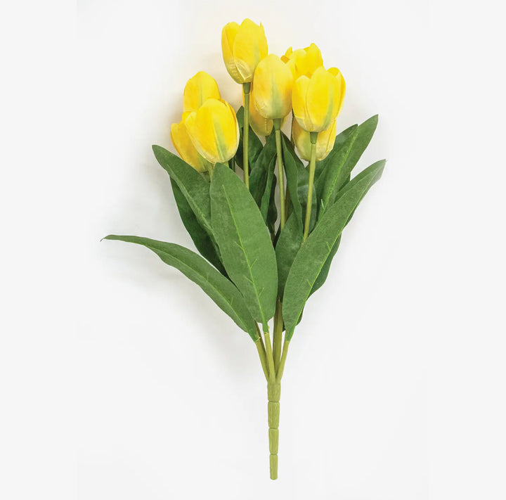 Golden Bloom Tulip Bunch