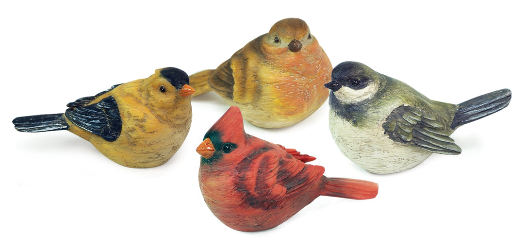 Birds