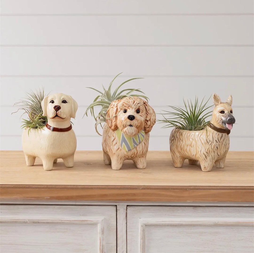Ceramic Dog Planter Collection (Multiple Styles Available)