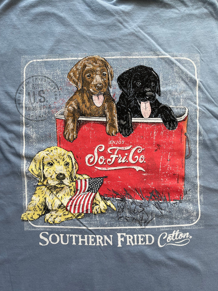 Cooler Full of Lab Pups