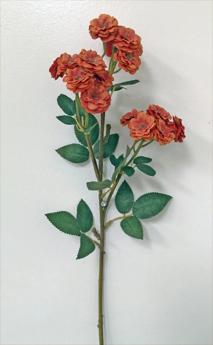 Garden Rose Stems