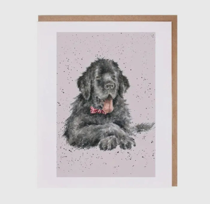 Greeting Cards - 5x7