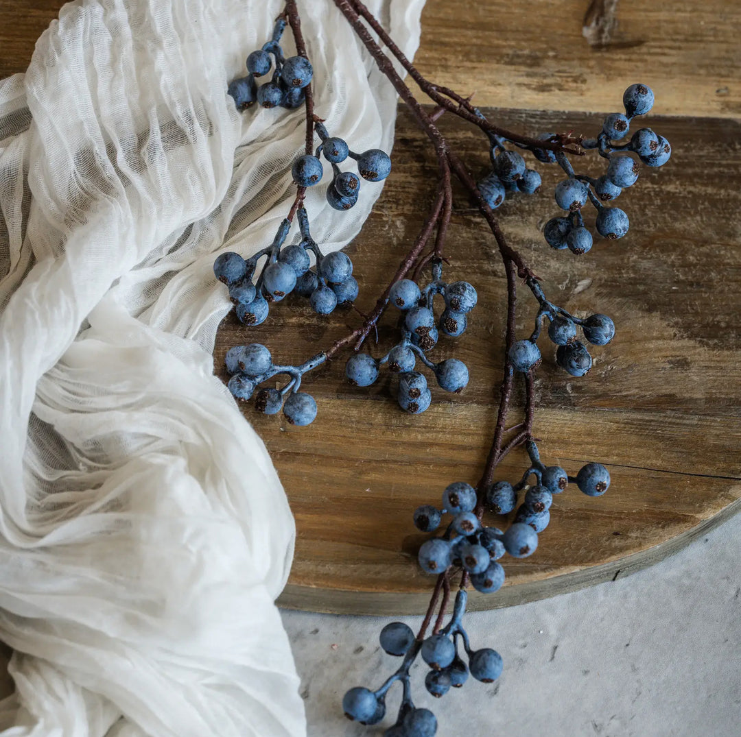 Blue Berry Branch Stem