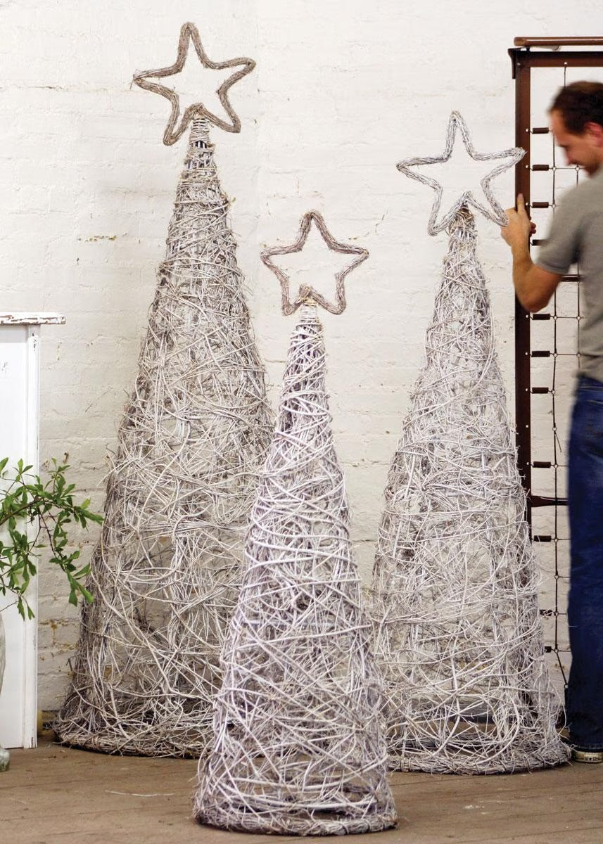 White Willow Star Trees