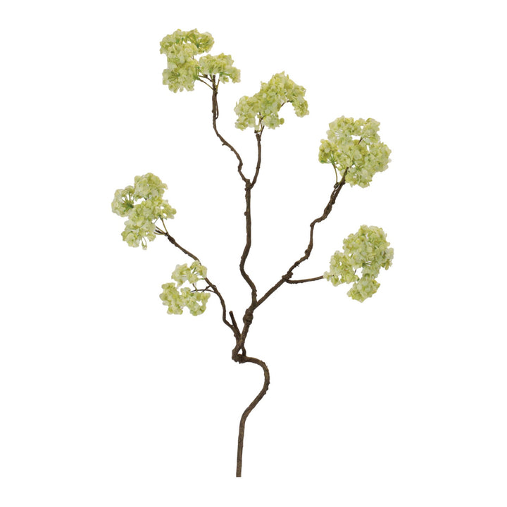 Soft Green Hydrangea Twisted Stem