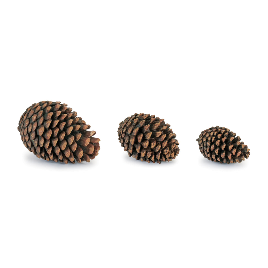 Woodland Charm Decorative Pine Cones