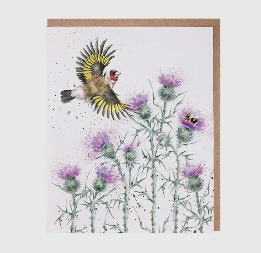 Greeting Cards - 5x7