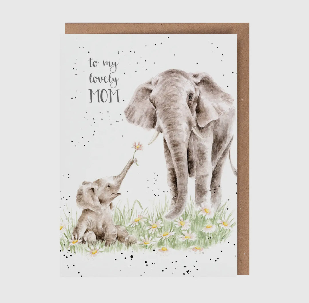 Greeting Cards - 5x7