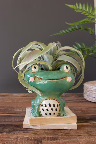 Smiley Frog Ceramic Planter