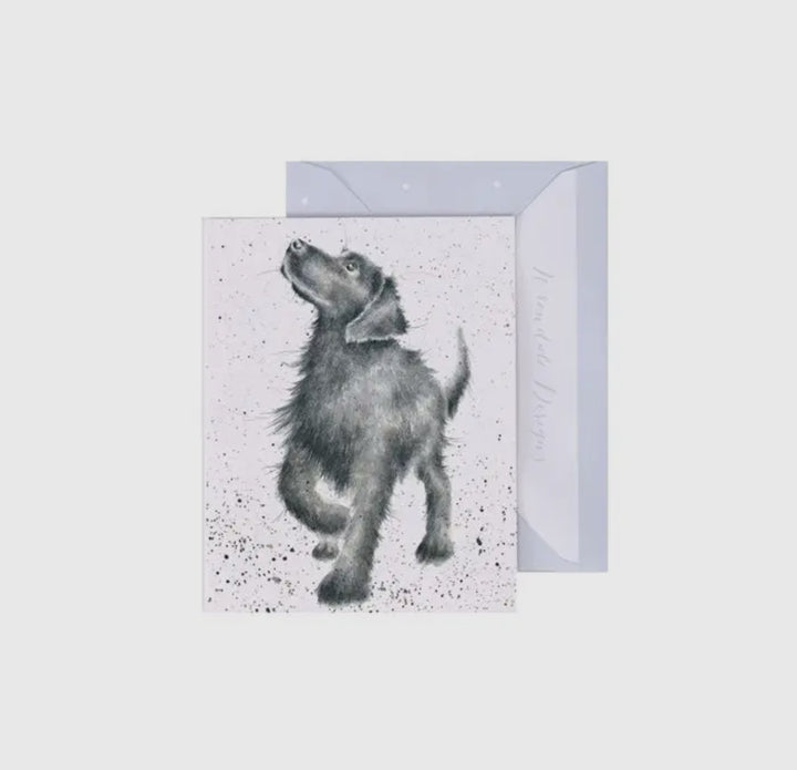 Mini Gift Enclosure Cards