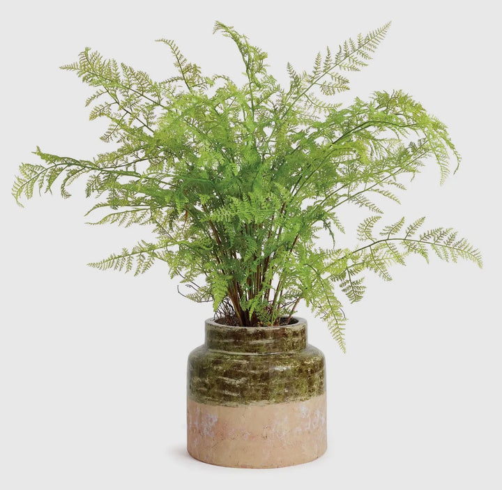 Verdant Faro Jars (Multiple Sizes Available)