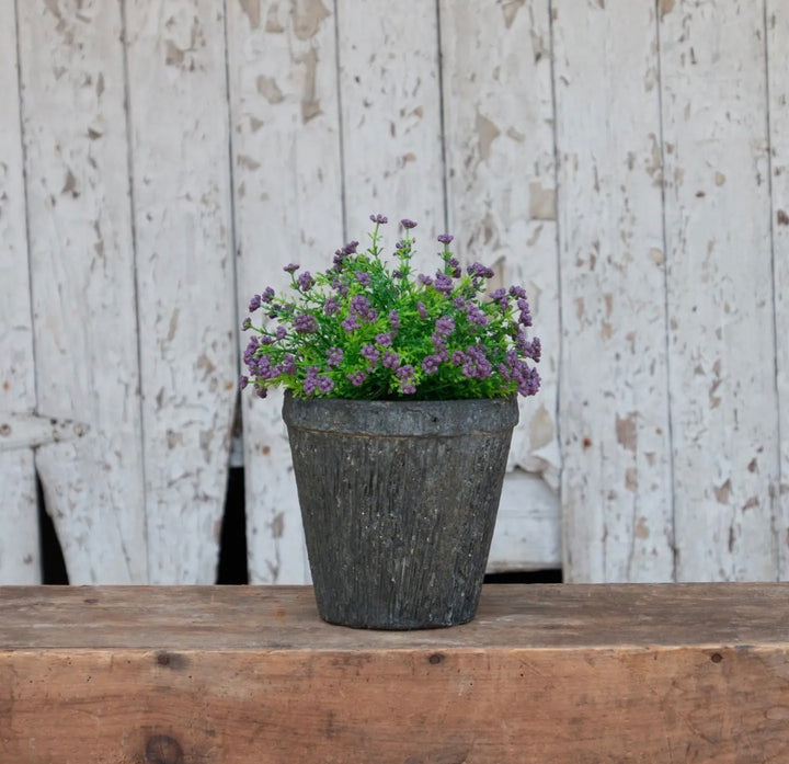Petite Meadow Half-Round Bush