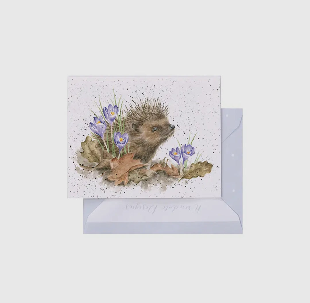 Mini Gift Enclosure Cards