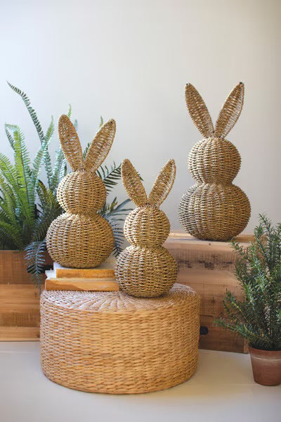 The Willow Bunny