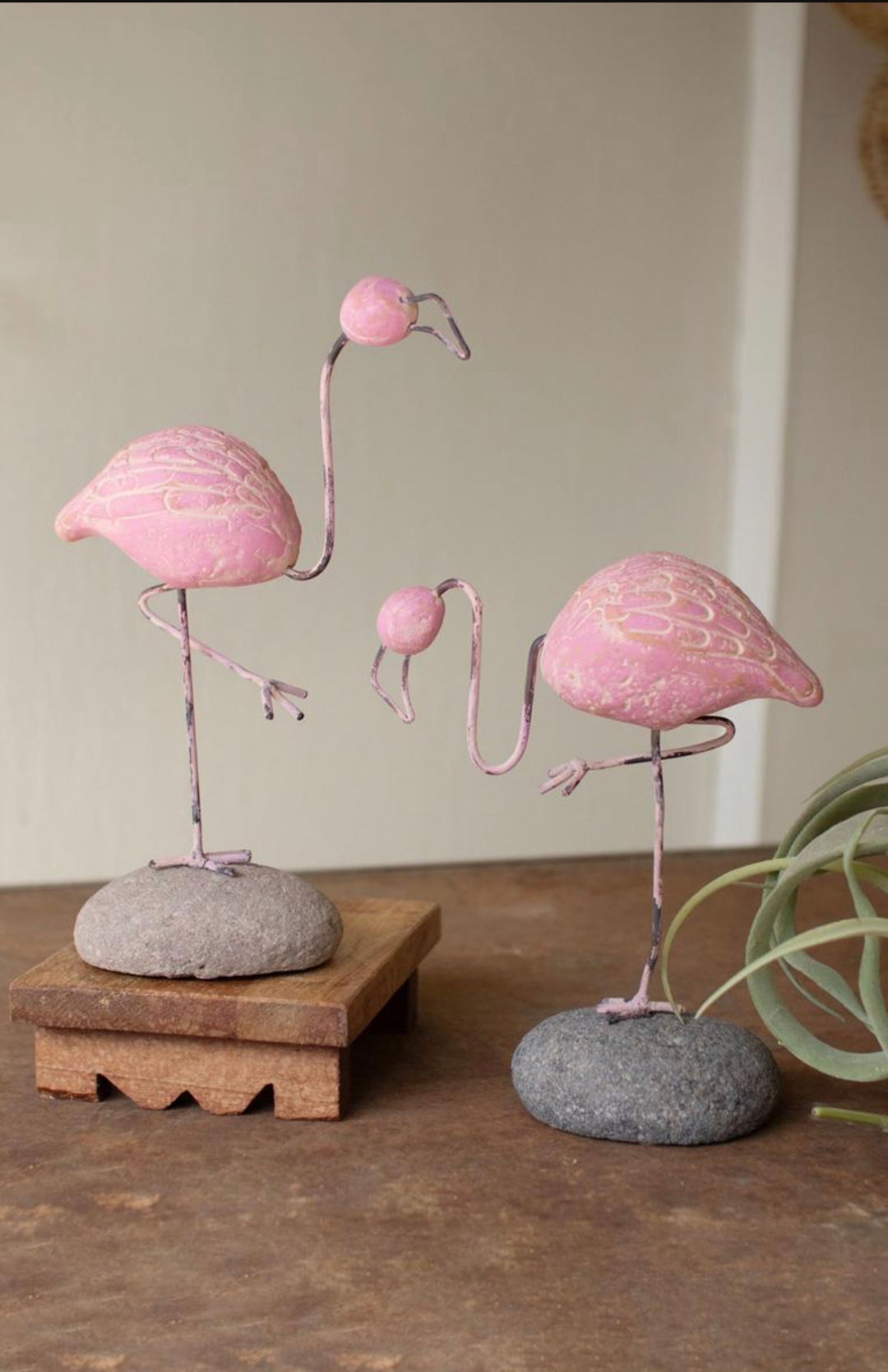 Blushing Flamingo Accent