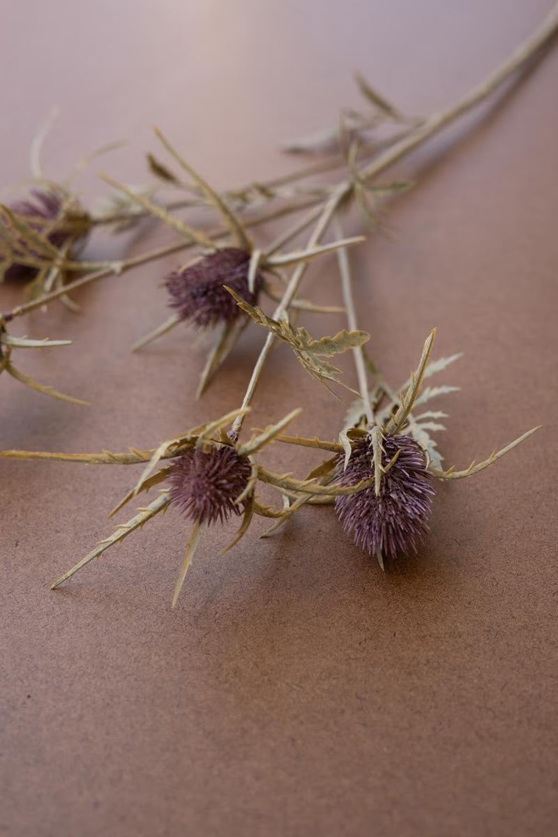 Thistle Stem