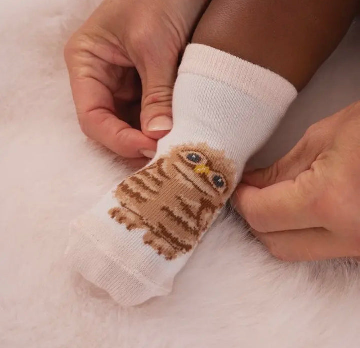 Little Forest Baby Socks - Set of 3