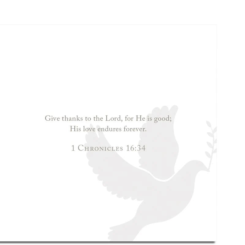 Promises of Grace Scripture Cards