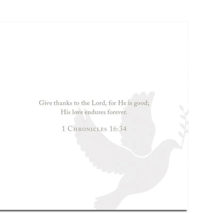 Promises of Grace Scripture Cards