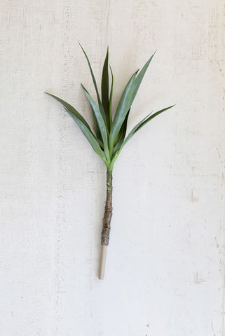 Heneken Stem