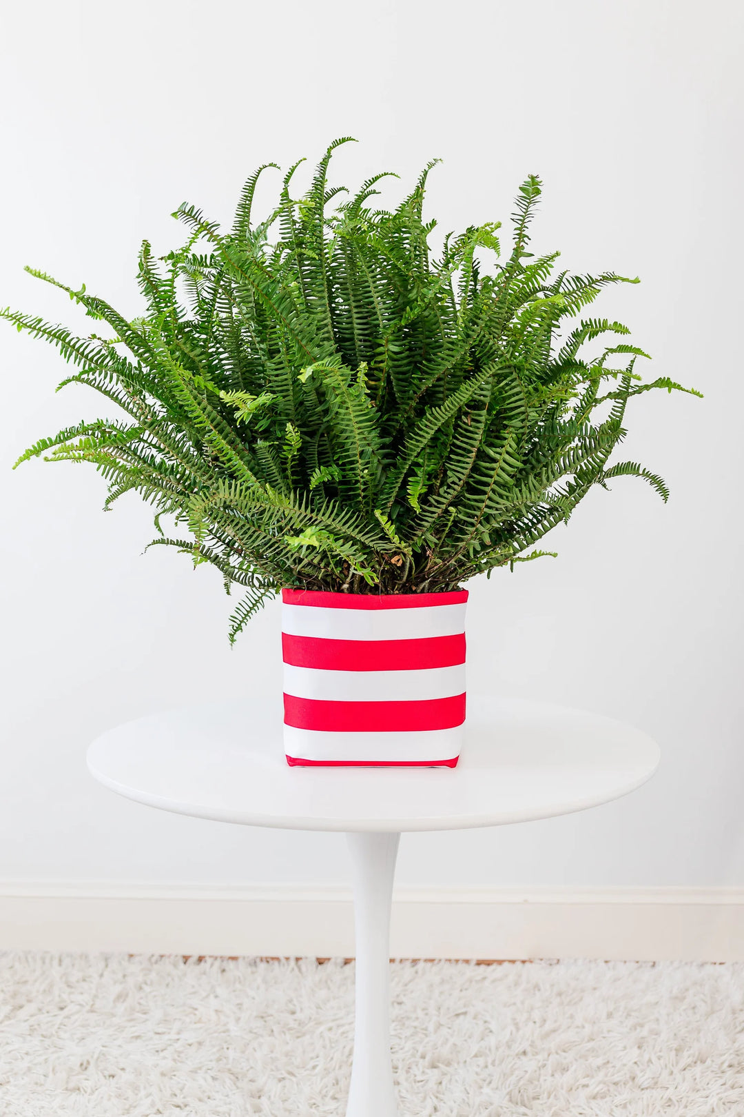 So.CachePot - Pot Covers