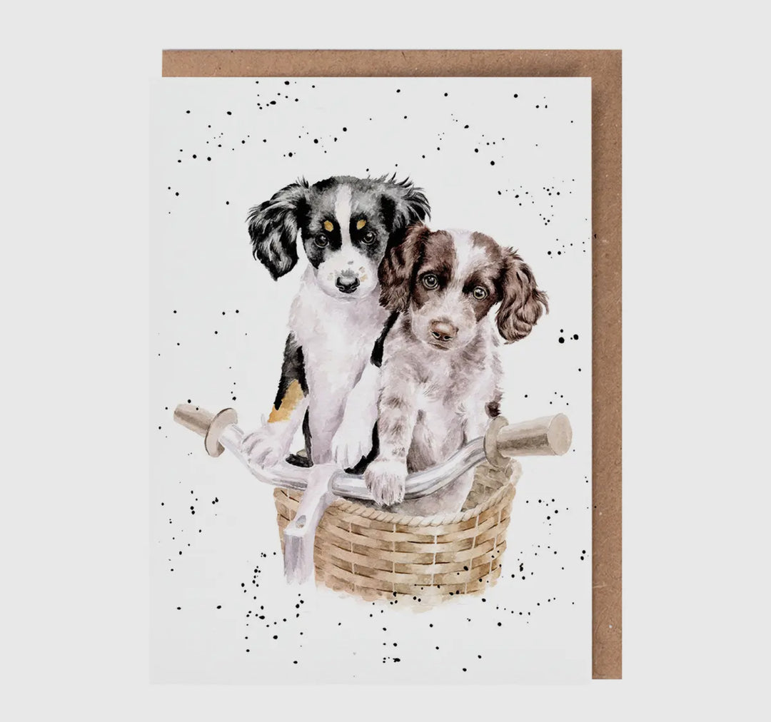 Greeting Cards - 5x7