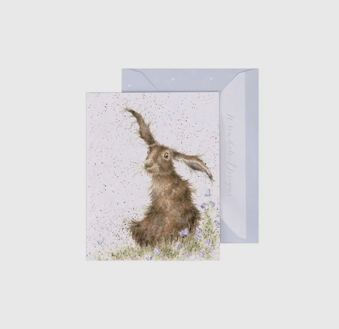Mini Gift Enclosure Cards