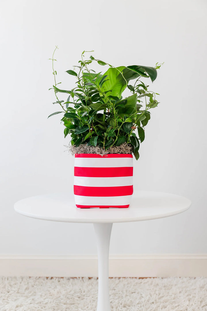 So.CachePot - Pot Covers