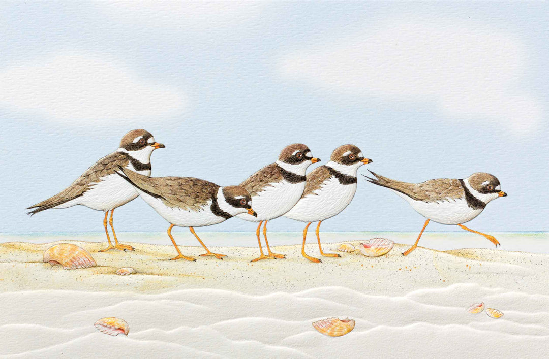 Pumpernickel Press Greeting Cards