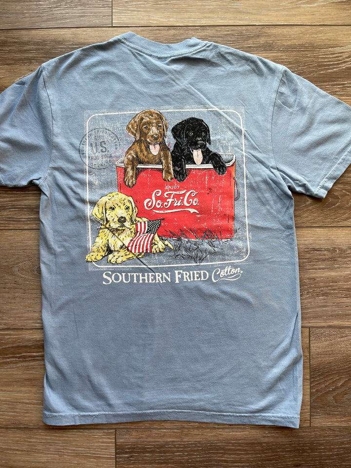 Cooler Full of Lab Pups