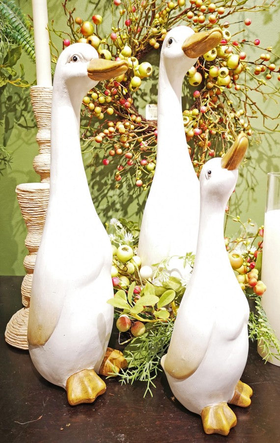 Duck Family