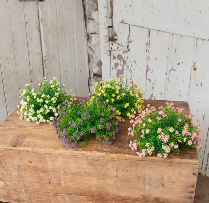 Petite Meadow Half-Round Bush