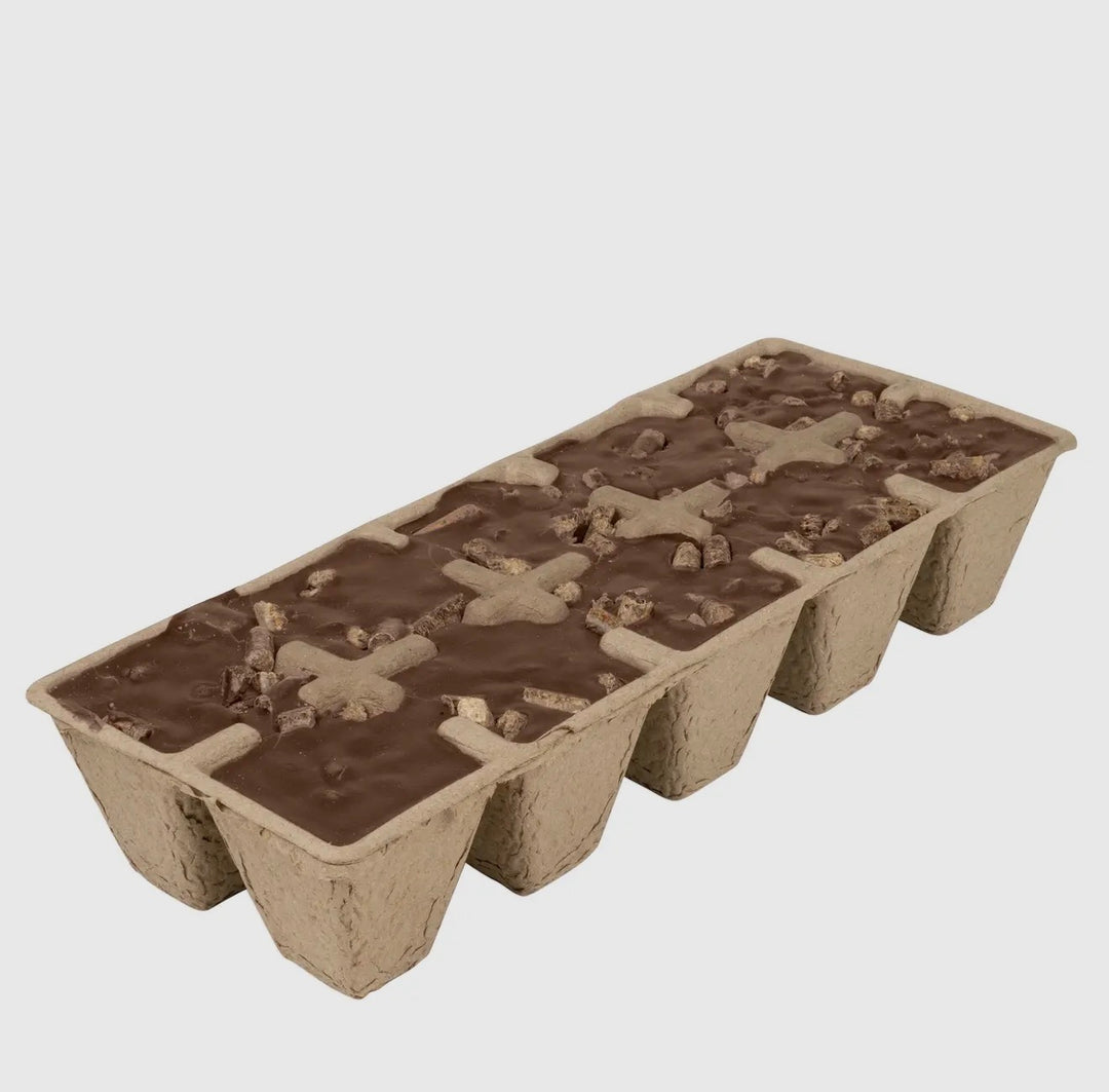 Northern Lights Fragranced Firestarters