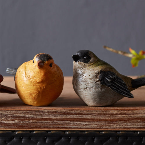 Birds