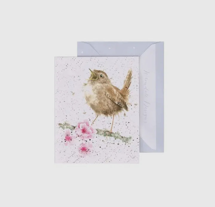 Mini Gift Enclosure Cards