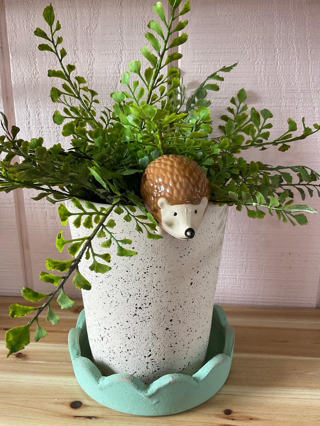 hedgehog plant pot Pot Hanger – Whitlyns