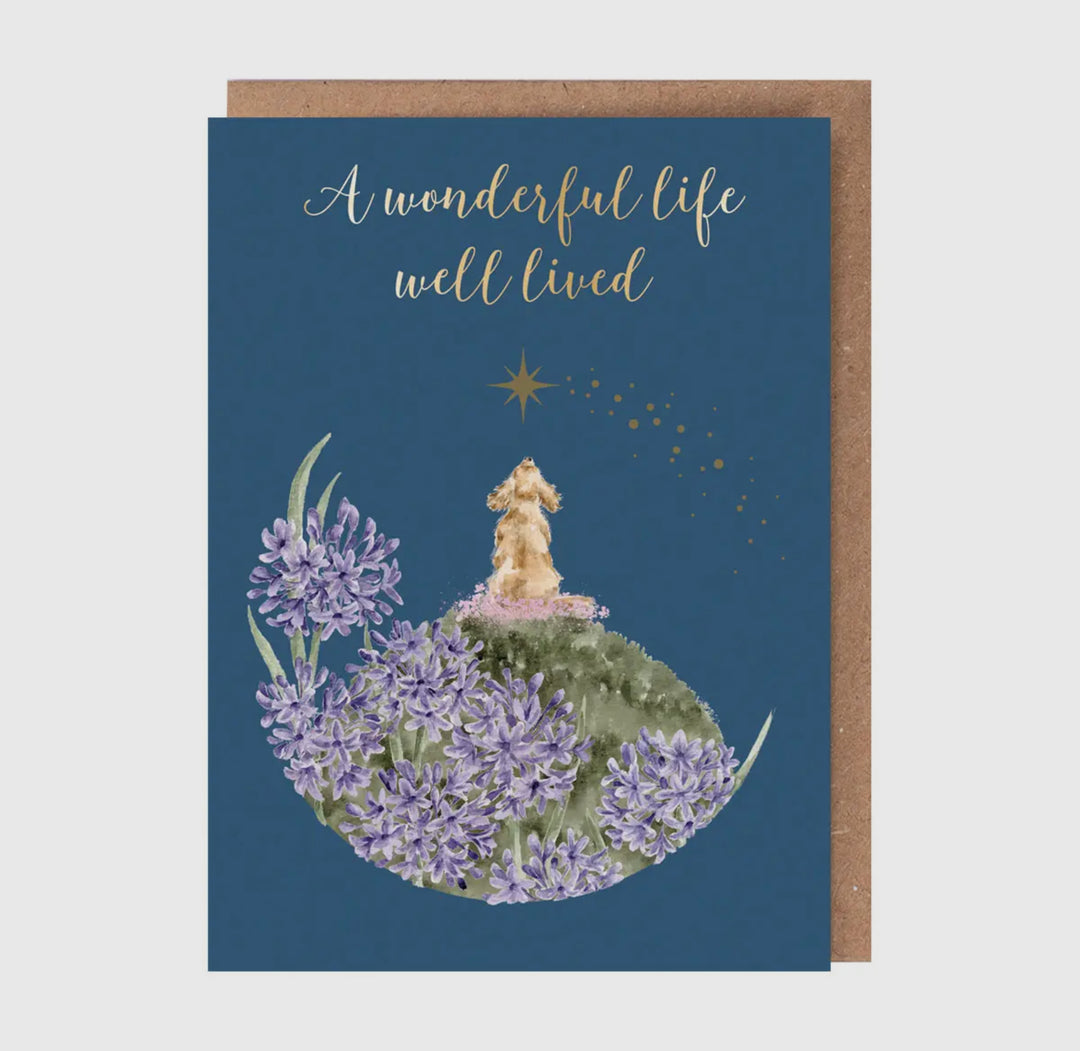 Greeting Cards - 5x7
