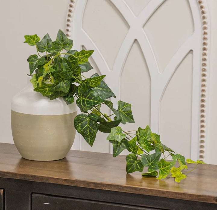 Verdant Manor 26” Ivy Spray