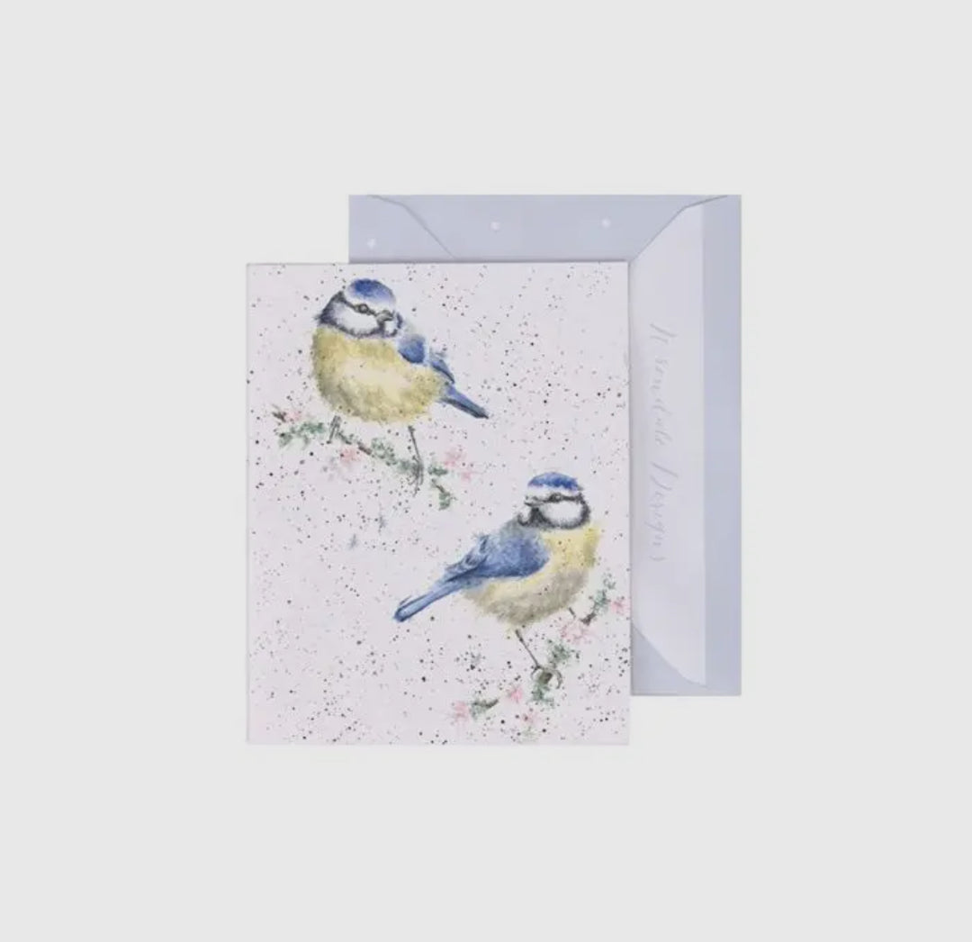Mini Gift Enclosure Cards