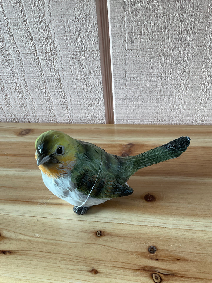 Colorful Yard Birds
