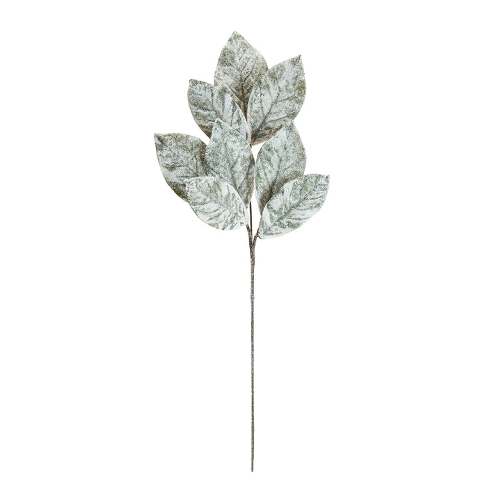 Frosted Magnolia Leaf Stem – 32.5”