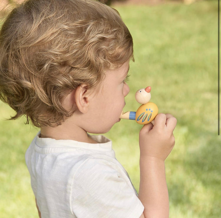 Songbird Serenade Wooden Bird Whistles