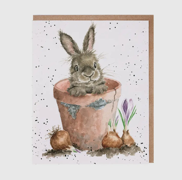 Greeting Cards - 5x7