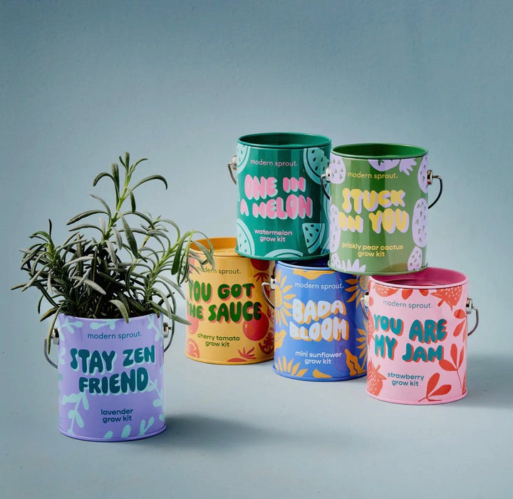 Modern Sprout Grow Kits