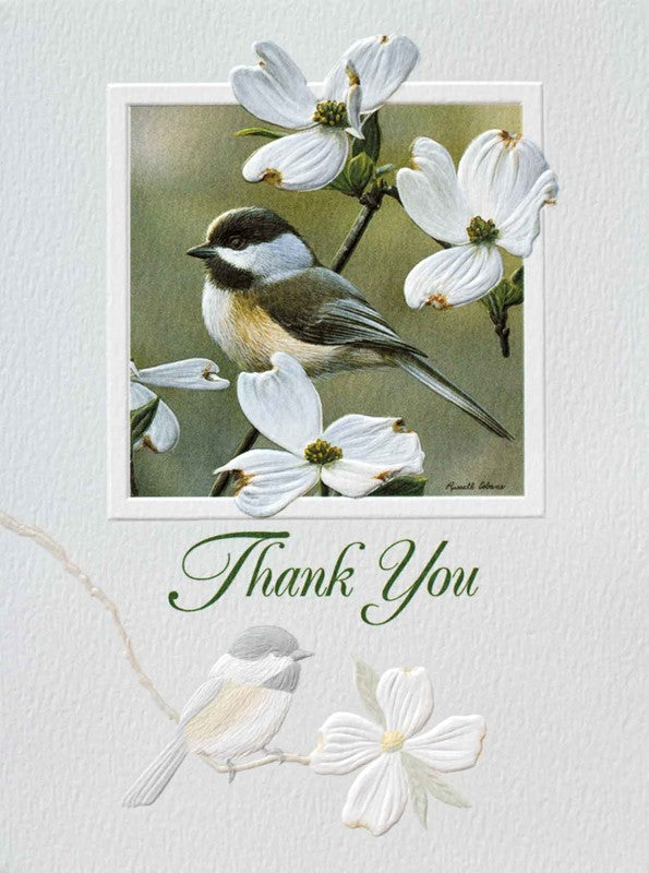 Boxed Chickadee & Dogwood Thank You Card Set
