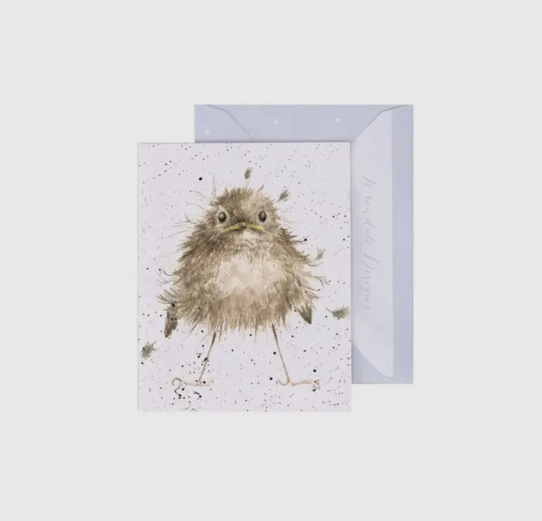 Mini Gift Enclosure Cards